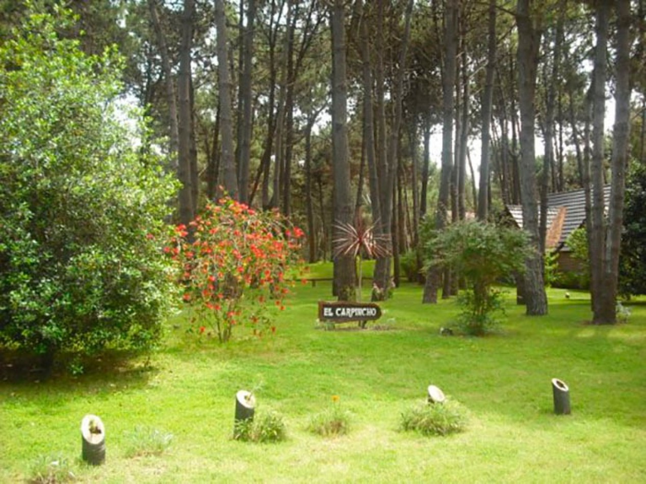 CASA EN PINAMAR NORTE